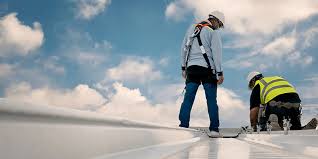 Roof Coating Services in Susitna North, AK